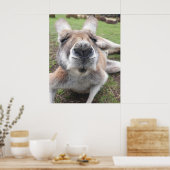 Niedliches Funny Face Kangaroo Pädagogik Tierische Poster (Küche)