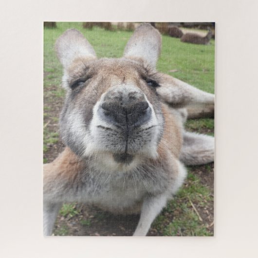 Niedliches Funny Face Kangaroo Pädagogik Tierische Puzzle (Vertikal)