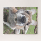 Niedliches Funny Face Kangaroo Pädagogik Tierische Puzzle (Horizontal)