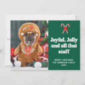 Niedliches Funny Pet Hund Foto Weihnachten (Vorderseite)