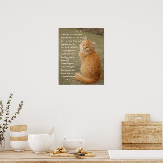 Niedliches Gedicht Orange Kitten Cat Poster (Küche)