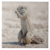 Niedliches Gelände Fliese (Vorderseite)