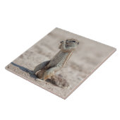 Niedliches Gelände Fliese (Seite)