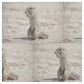 Niedliches Gelände Stoff (Nahaufnahme)