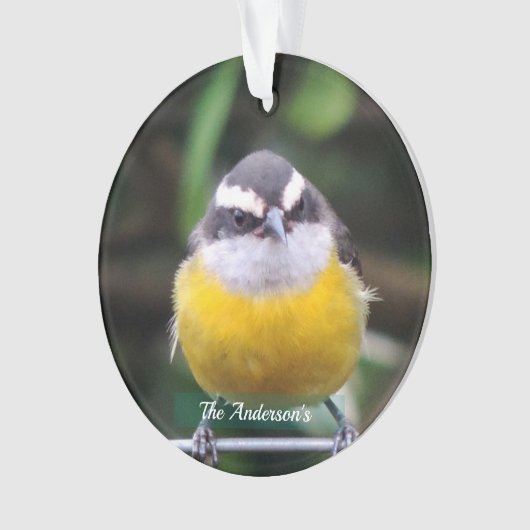 Niedliches Gelbes BrustvogelFoto Personalisiert Ornament (Vorderseite)