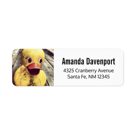 Niedliches gelbes Gummi Duckfoto (Vorne)