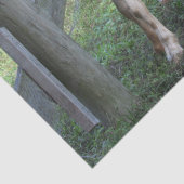 Niedliches Gepunktetes Papierpapier für das Gewebe Seidenpapier (Detail)