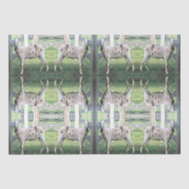 Niedliches Gepunktetes Papierpapier für das Gewebe Seidenpapier