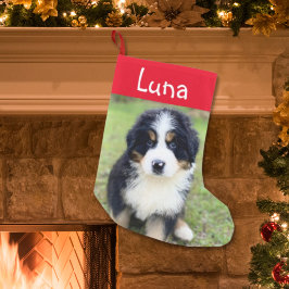 Niedliches Geschenk für Berner Liebhaber der Berne Kleiner Weihnachtsstrumpf