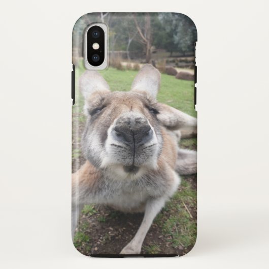 Niedliches Gesicht Kangaroo Kawaii Foto Case-Mate iPhone Hülle (Rückseite)