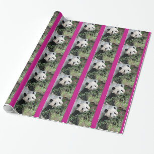 Niedliches Giant Panda Wrapping Paper, Hot Pink Tr Geschenkpapier