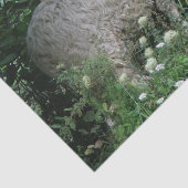 Niedliches Giftfadenpapier Seidenpapier (Ausschnitt)