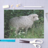 Niedliches Giftfadenpapier Seidenpapier (Handwerk)