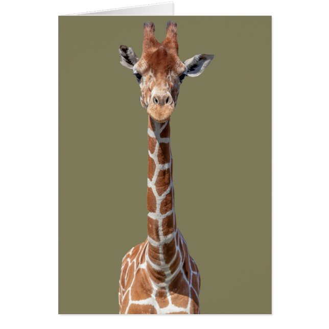 Niedliches Giraffengesicht (Vorne)