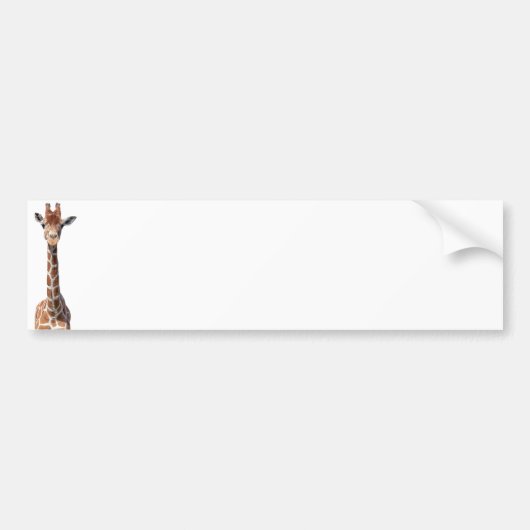 Niedliches Giraffengesicht Autoaufkleber (Vorne)