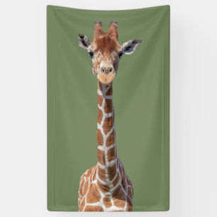 Niedliches Giraffengesicht Banner