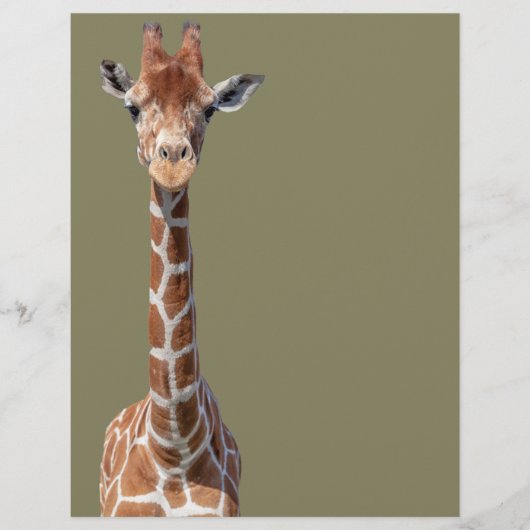 Niedliches Giraffengesicht Flyer (Vorne)