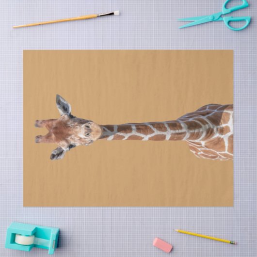 Niedliches Giraffengesicht Seidenpapier (Basteln)