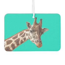 Niedliches Giraffenportrait auf Aquamarin Türkis Autolufterfrischer