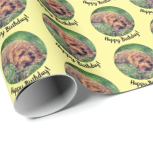 Niedliches Golddoodgelb-Papiere Geschenkpapier