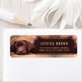 Niedliches Golden Labrador-Adressetikett (Insitu)