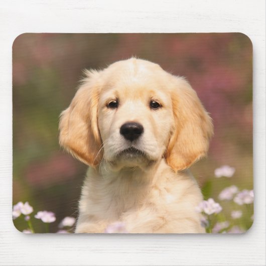 Niedliches Golden Retriever Dog Welpenportrait Mousepad (Vorne)