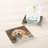 Niedliches Golden Retriever Hund Welpen Face Anima Glasuntersetzer (Schrägansicht)
