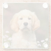 Niedliches Golden Retriever Hund Welpen Face Anima Glasuntersetzer (Rückseite)