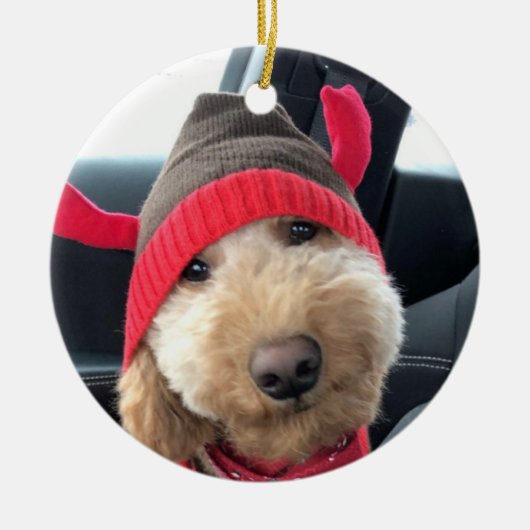 Niedliches Goldendoodle im Weihnachtsgeschäft Keramik Ornament (Vorne)