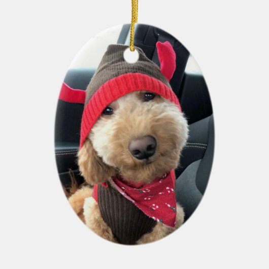 Niedliches Goldendoodle im Weihnachtsgeschäft Keramik Ornament (Vorne)