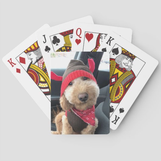 Niedliches Goldendoodle im Weihnachtsgeschäft Spielkarten (Rückseite)