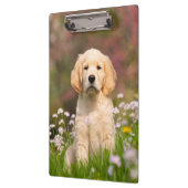 Niedliches goldener Retriever-Hundewelpen-Foto Klemmbrett (Links)