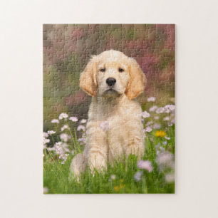 Niedliches goldener Retriever-Hundewelpen-Spiel Puzzle