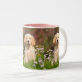 Niedliches goldener zweifarbige tasse (VorderseiteRechts)