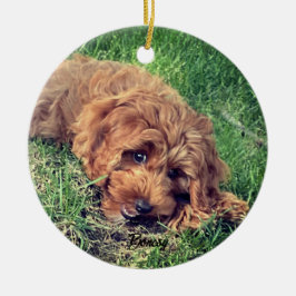 Niedliches Goldenes Doodle Keramik Ornament