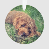 Niedliches Goldenes Doodle Ornament (Vorderseite)