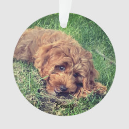 Niedliches Goldenes Doodle Ornament