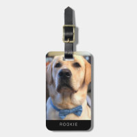 Niedliches goldenes Labrador Retriever Foto Name T