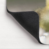 Niedliches Gosling Nature Foto Mousepad (Ecke)