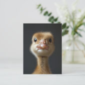 Niedliches Gosling-Portrait Postkarte (Stehend Vorderseite)