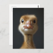 Niedliches Gosling-Portrait Postkarte (Vorne/Hinten)