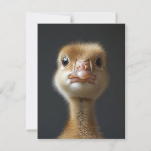Niedliches Gosling-Portrait Postkarte