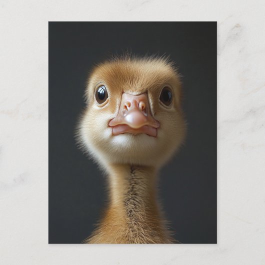 Niedliches Gosling-Portrait Postkarte (Vorderseite)