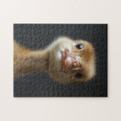Niedliches Gosling-Portrait Puzzle (Horizontal)