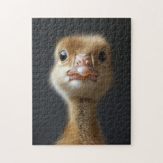 Niedliches Gosling-Portrait Puzzle
