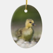 Niedliches Gosling Wildlife Foto Keramik Ornament (Vorne)