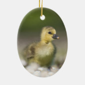 Niedliches Gosling Wildlife Foto Keramik Ornament (Hinten)