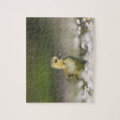 Niedliches Gosling Wildlife Foto Puzzle (Vertikal)
