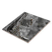 Niedliches graues Eichhörnchen Fliese (Seite)