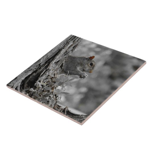 Niedliches graues Eichhörnchen Fliese (Seite)